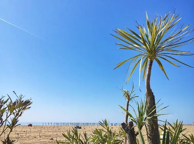 Keplero Lejlighed Bibione